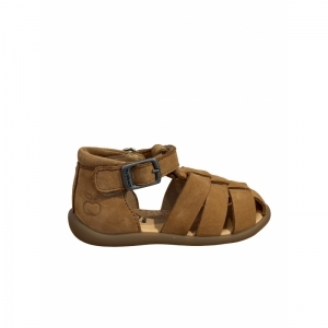  CAMEL