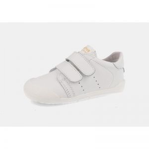  BCO 26V