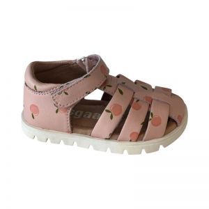  PECHES
